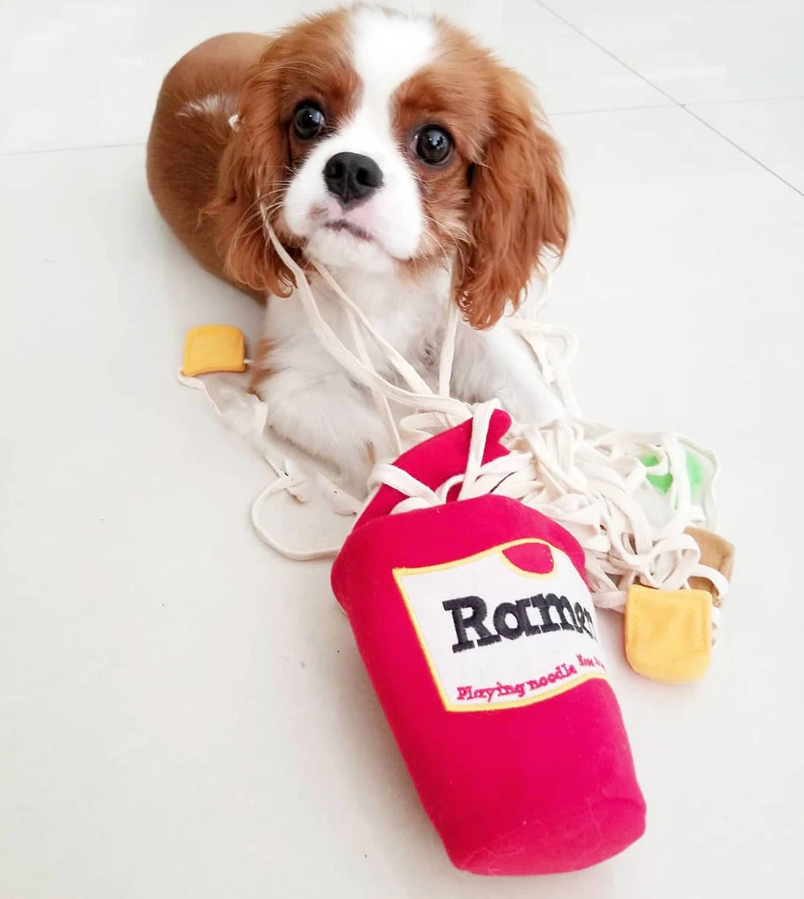 Dog Chew Toys Ramen Sniff Toy Zabawki Dla Psa Pet Jouet Chien