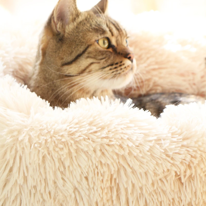Теплый плюшевый домик для кошек кровать длинный плюшевый коврик для кошек круглая кровать для собаки для маленьких собак Лежанка для котов зимняя теплая Лежанка коврик для щенка