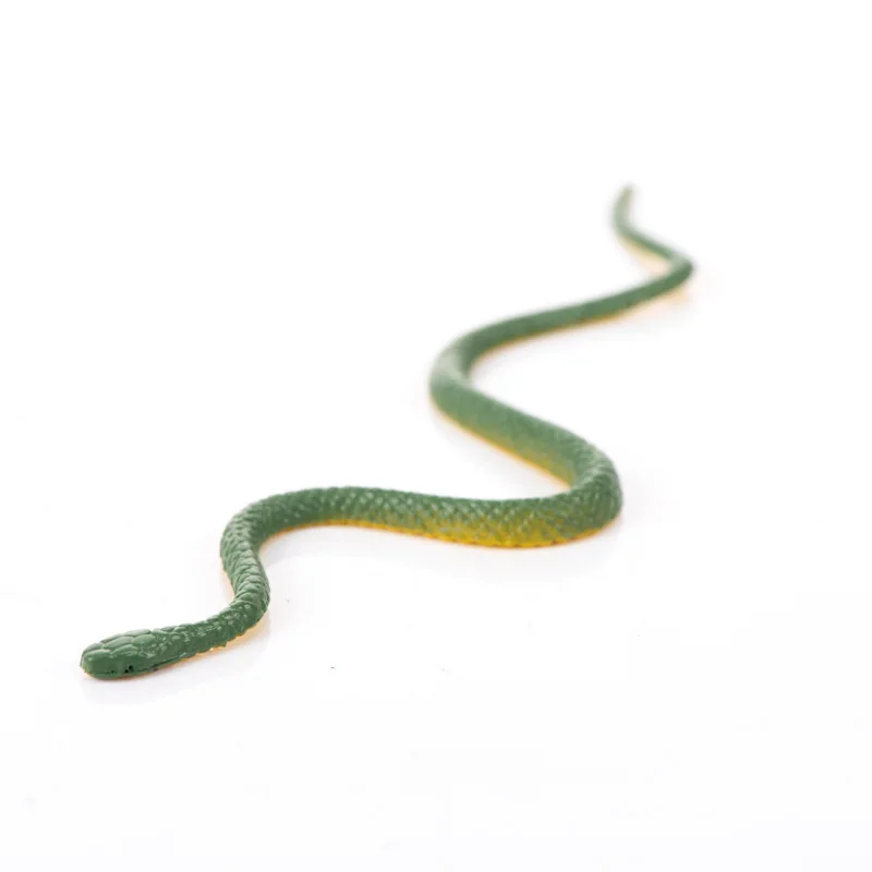 

Model Insect Model Toy 12-Environmentally Friendly Plastic Lizard Snake Frog Model Educational Toy