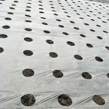 

Vegetable Garden Membrane Agricultural Plants Mulching Seeding Perforated Film Material PE Perforated Film