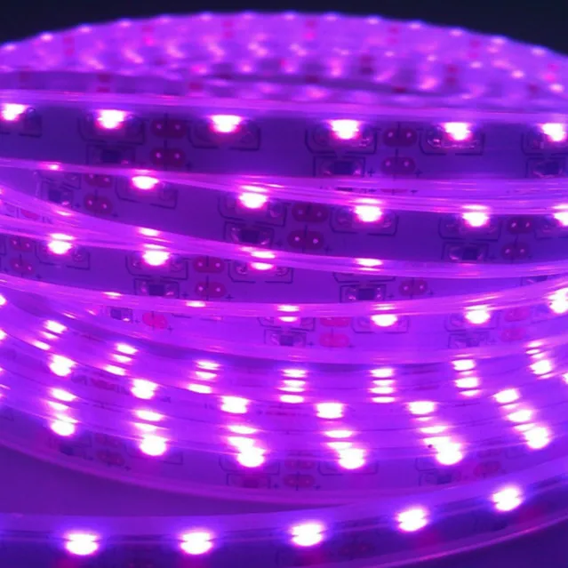 335 120灯套管紫光-5