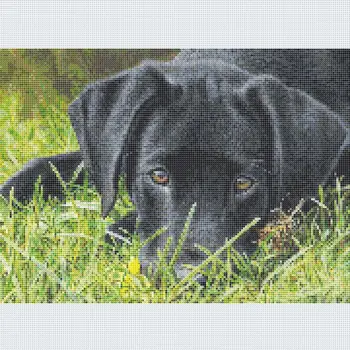 

DIY 5D Diamond Painting Dog Animal Diamond Embroidery Cross Stitch Kit Dachshund Mosaic Full Round Drill Rhinestone Home Decor