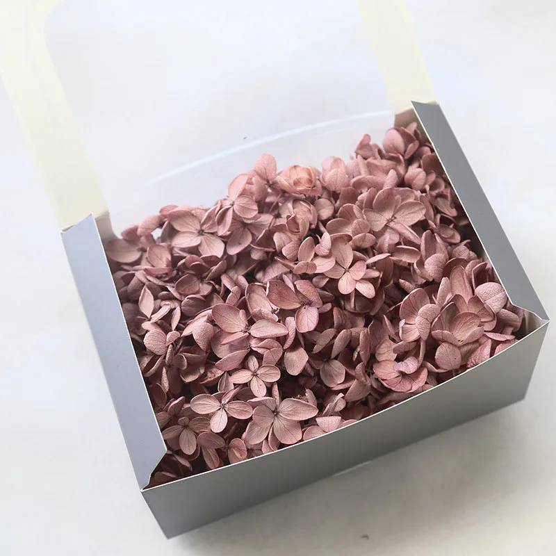 20g High Quality Natural Fresh Preserved Flowers Dried Mid-wood Hydrangea Flower Head For DIY Real Eternal Life Flowers Material - Цвет: somkez