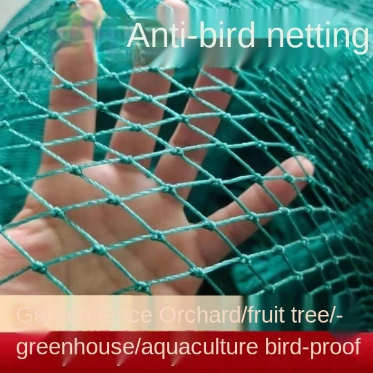 The Net Of Nylon Wire In The Shed And The Bird Net For Chicken