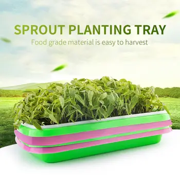 

Planting Containers Sprout Maker Wheatgrass Grower Germination Tray Sprouters Grower Multifunction Soil-Free