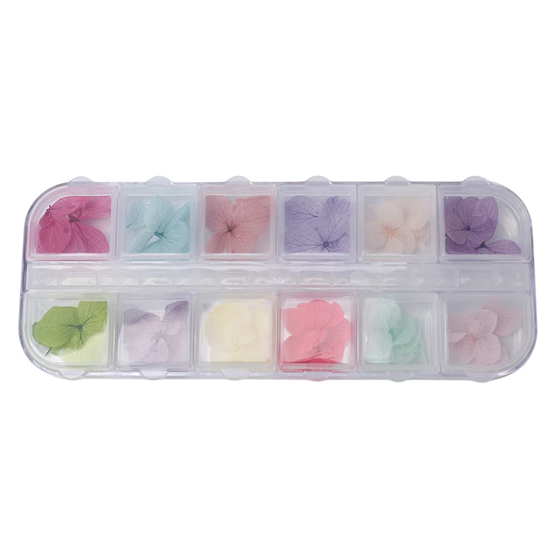 Pressed Dried Flower Nail Decoration Dry Plants For Epoxy Resin Nail Sticker Jewelry Making Craft DIY Nail Accessories