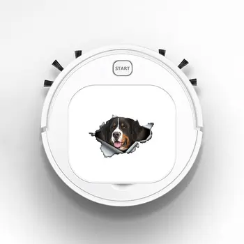 

Auto USB Sweeping 1800Pa Multifunction Smart Robot Vacuum Cleaner Dry Wet Vacuum Floor Cleaner Bernese Mountain Dog