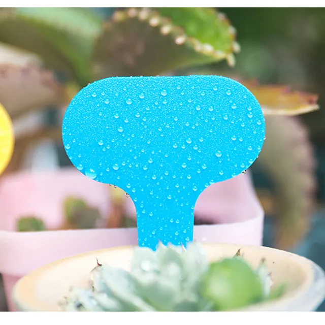 100Db Növényi Jelölők T Alakkerti Címkék Kertészeti Pvc Műanyag Növények Óvoda Bonsai Zamatos Osztályozási Kártya - Image 4