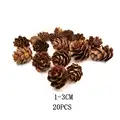 Mini pine cones