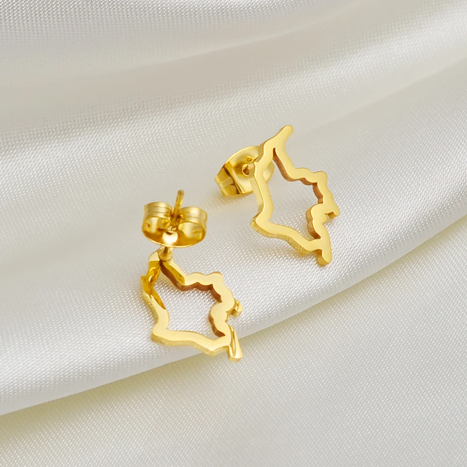 Anniyo 1.5cm Small Colombia Outline Map Stud Earrings of Colombian Jewelry Stainless Steel  #253221 5