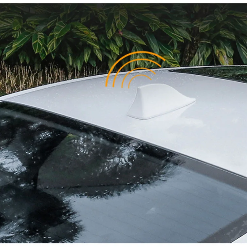 Antenna Pinna Di Squalo Auto Antenne Di Segnale Autoradio Antenne Sul Tetto Per Renault Kangoo Dacia Scenic Megane Sandero Captu Decorazione