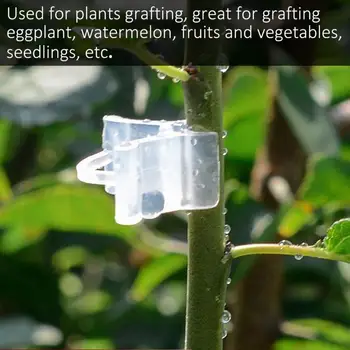 

100Pcs Vegetable Fruit Tree Seedling Nursery Plastic Plants Grafting Clips Gardening Tools Vine Fixed Clips