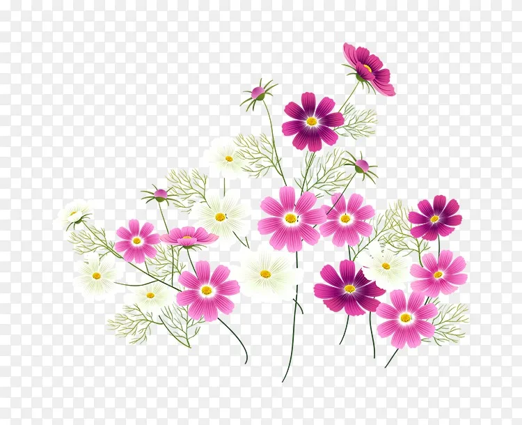 花设计花园宇宙主题春花png图片素材免费下载 图片编号 Png素材网