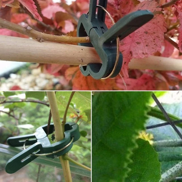 20 db Újrahasznosítható Növényi Klipek Műanyag Kertészeti Kiegészítők A Virágszőlő Zöldségfélékének Paradicsommászásának Támogatására - Image 5