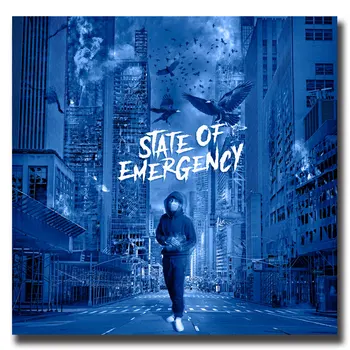 

Lil Tjay smoke state of emergency music cover Poster Canvas Painting Art 12 24x24inch Print Wall Decoration