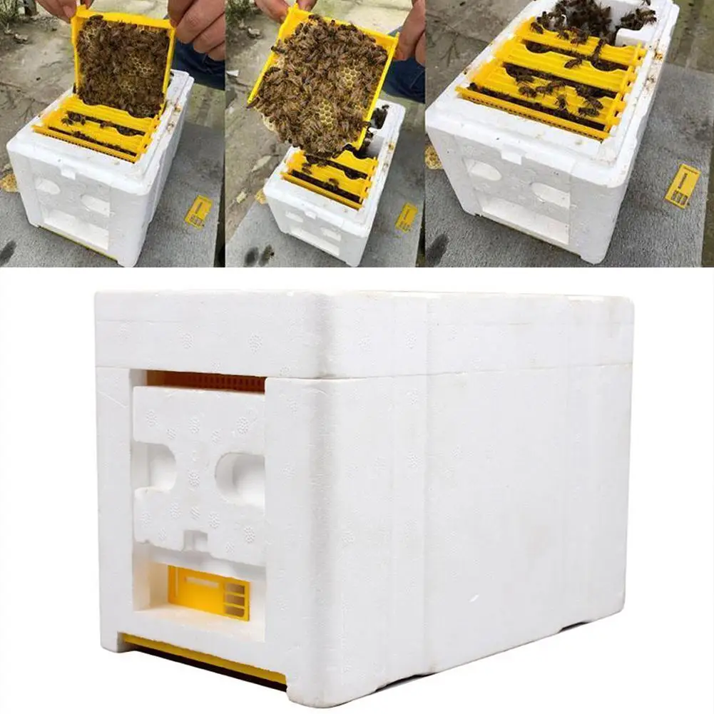 Imkerei Bestäubungs Werkzeug Bienenstock Bienen Ernte Kasten Imkerei Werkzeug s0 