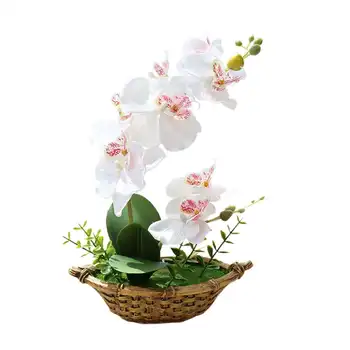 

Artificial Simulation Silk Flower Butterfly Orchid Bonsai Fake Plants Decor Exotic Flowers Outdoor in Sparkling Dense Green Fol