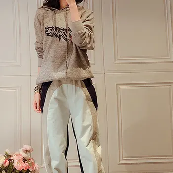 

Women Hoodies Spring 2020 Soft Skin Loop Velvet Gray Hooded Sweatshirt