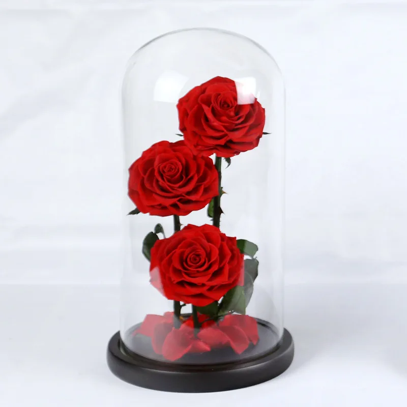 

Three Head Roses Big Glass Cover Eternal Preserved Fresh Flower Barbed Rose Flores Rose Immortal Rose for Valentine's Day Gifts