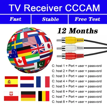 

Europe Spain 3/6 line receivercccams 3 6 European full HD decoder Cccams for satellite TV receiver DVB-S2 hd