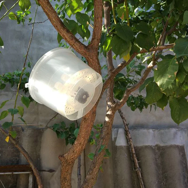 

Bee Tools Hornet Trapper Fly Bug Catching Traps Wasp Catcher Hanging On Tree Insectary Box Bees and Beekeeping Equipment