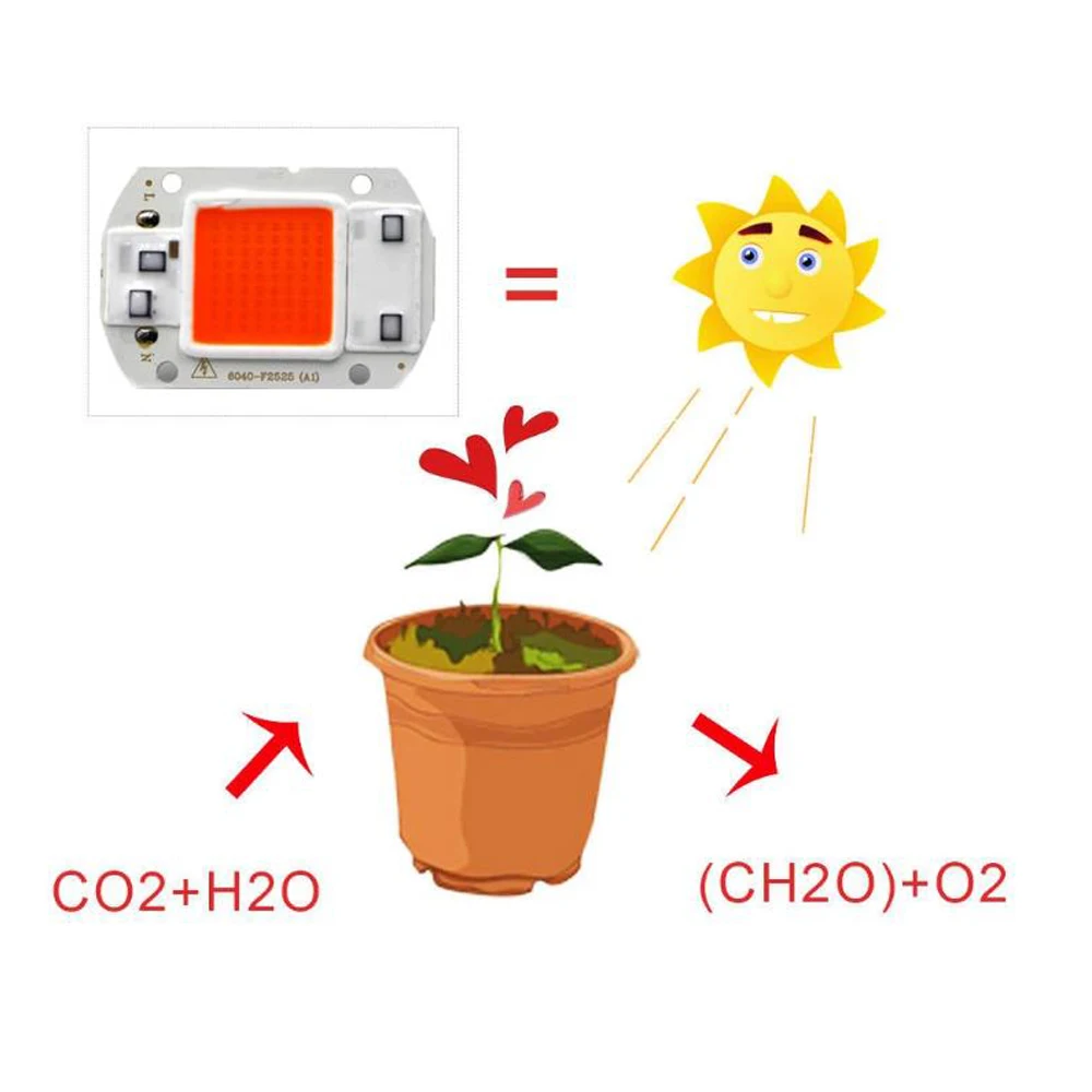 LED Grow COB Chip Full Spectrum LED Grow Light Phyto Lamp AC 110V 220V 20W 30W 50W For Indoor Plant Light Seedling Lamp
