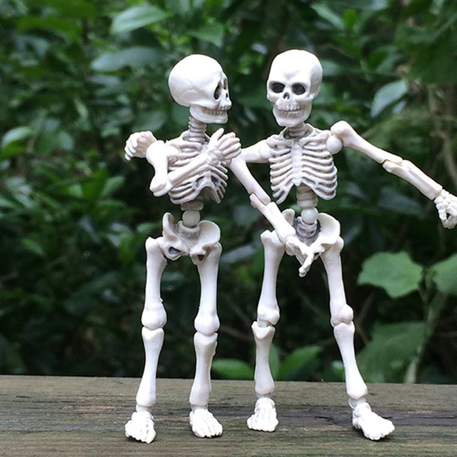 Movable Mr. Bones Skeleton Human Model Skull Full Body Mini Figure Toy Halloween 54DA 2