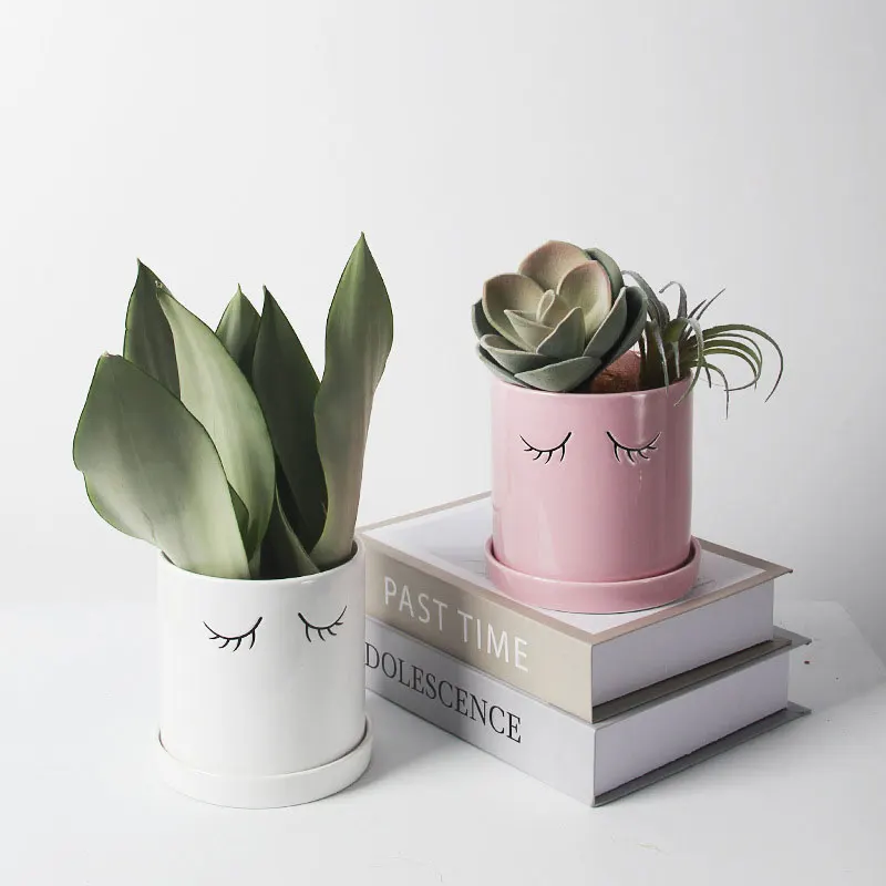 Nordic ins eyes ceramic flowerpot eyelashes cute indoor succulent planting cactus potted desktop decoration home decoration