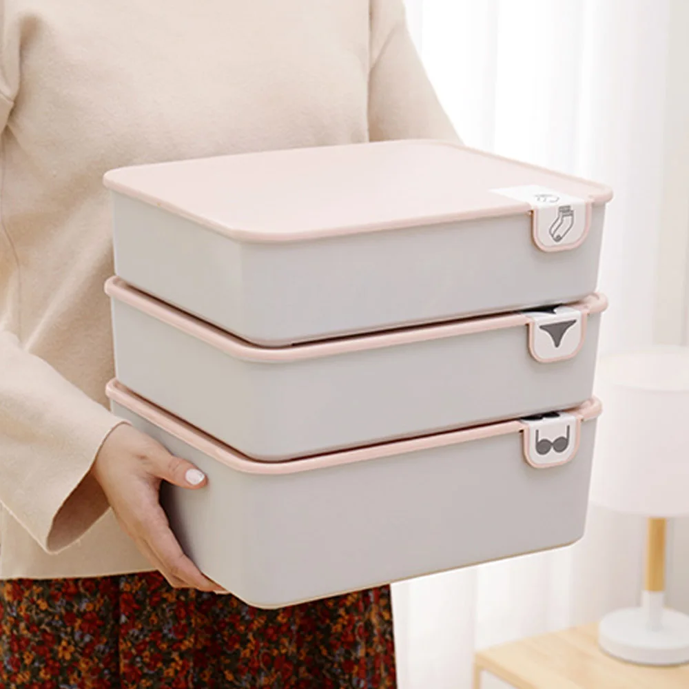 Pink Behogar 3 шт./компл. коробка для хранения нижнего белья дома шкаф с выдвижными ящиками Органайзер чехол с крышкой для носки бюстгальтеры, нижнее белье - Цвет: Pink