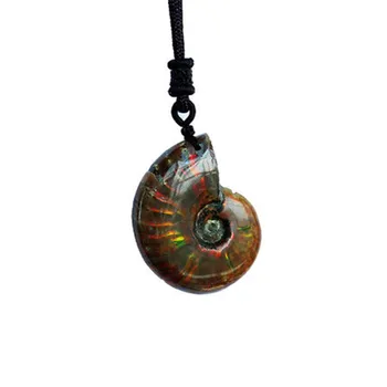 

Spiral Ammolite Natural Ammonite Fossil Pendants Pure Natural Handicraft Pieces Played On Palms Nice Gift For Stone Collection