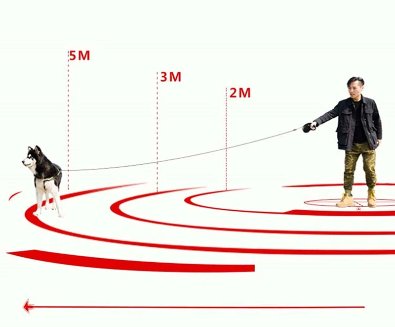 HTB1DslARXXXXXXcaVXXq6xXFXXXs