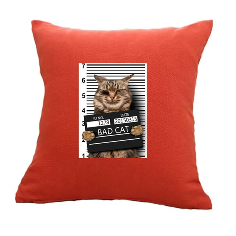 Модная Милая нашивка, сделай сам, одежда 247 мм, BAD CAT, 3d наклейки, Термотрансферная печать, железные нашивки для одежды, футболки для женщин