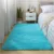 Thick Fluffy Carpets For Living Room Decor Bedside Rug Warm Plush Floor Mats Children's Room Play Mats Silkly Furry Carpet Grey 10