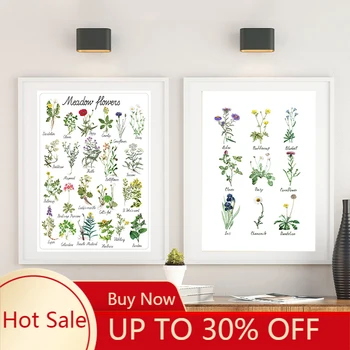 

Wild Flowers Chart Canvas Painting Plant Flower Species Botanical Educational Poster Print Wall Picture Kids Room Wall Art Decor