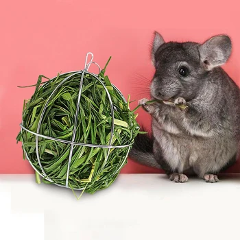 

Stainless Steel Hamster Ball Round Plating Grass Rack Ball Feed Exercise Hanging Balls Pig Hamster Rat Rabbit Pet Toy