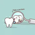 Magicdentist Store