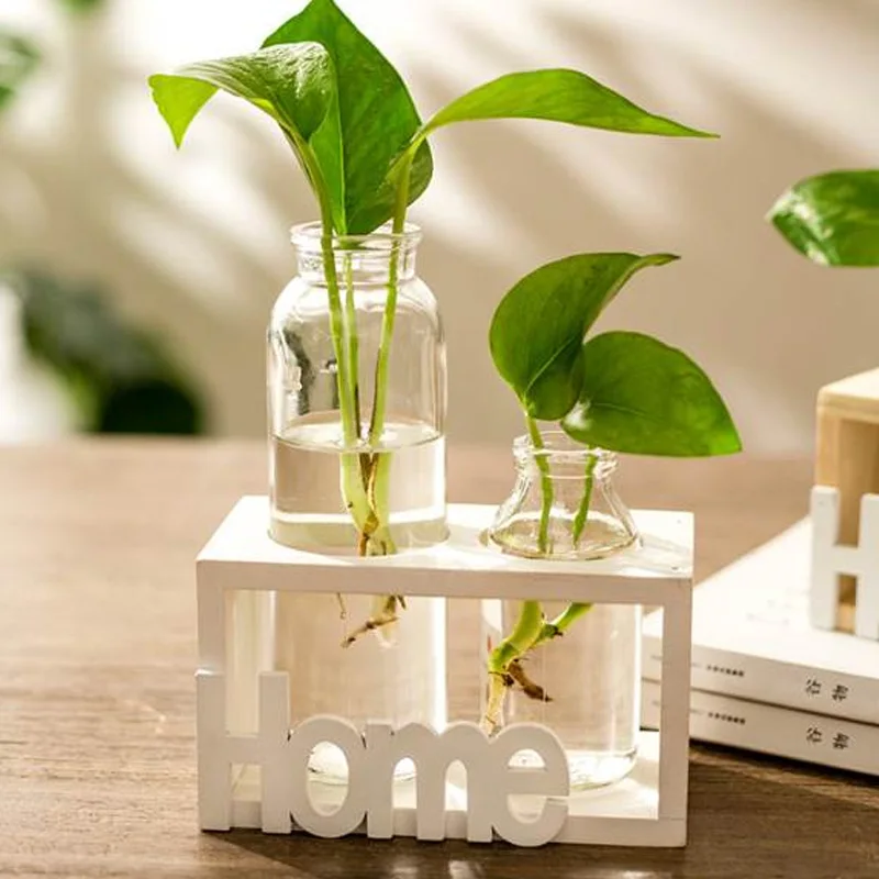 

Transparent Vase Hydroponic Vase Glass Glass Bottle Vase Balcony Family Outdoor Fashion Micro Hydroponics Bracket