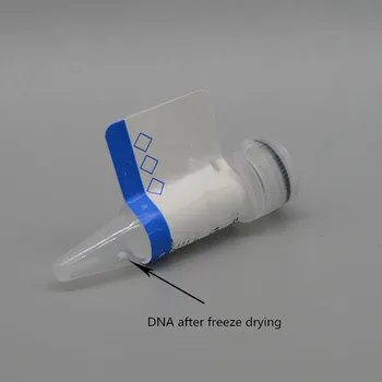 

CDC-positive plasmid, positive control for viral nucleic acid detection kit