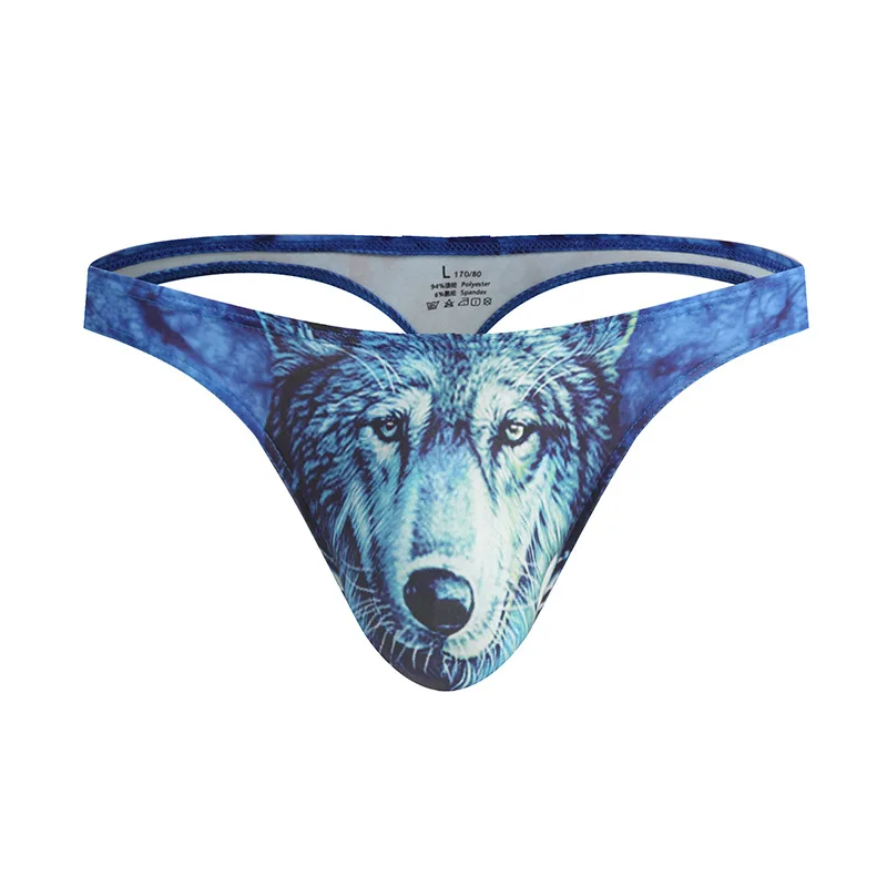 Mens sheer bikini swimwear Telegraph