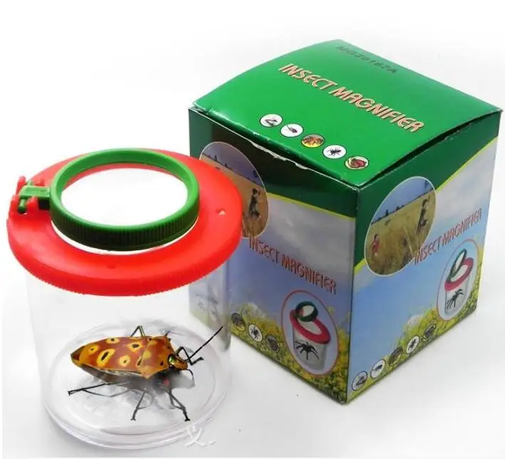 UptVin 6 Piezas Caja De Insectos Con Lupa 3x Y 5x | Kit De Exploración Natural Con Pinzas Y Escala Medidora | Ideal Para Niños Y Aulas