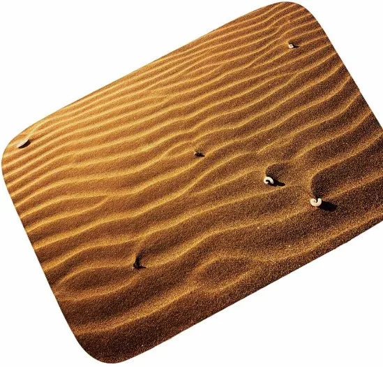 CAMMITEVER домашний коврик для входного пола нескользящий коврик для кухни ванной походный матрац