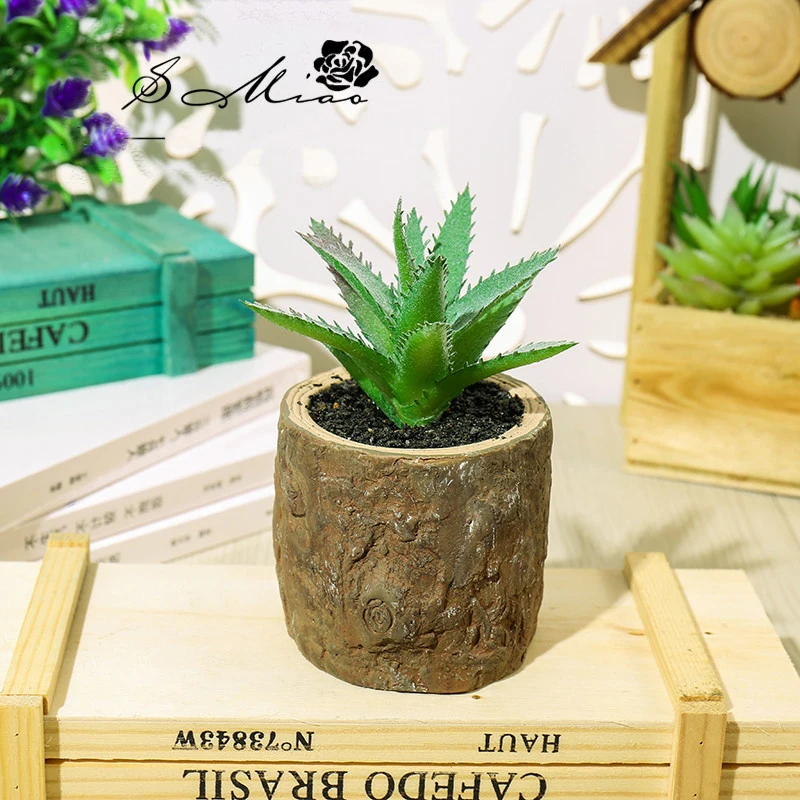 11344469171_98600638