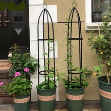 Садовая беседка, кронштейн для подъема, железная художественная стойка для дома и за рубежом, китайская Роза клематис, Лотус, Виноградная стойка