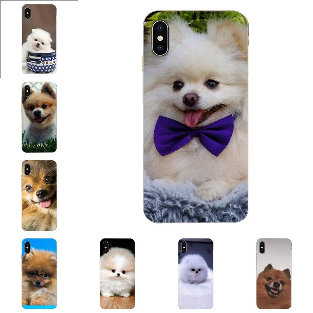 Чехол из ТПУ с изображением померанских собак для Apple iPhone 4 4S 5 5C 5S SE SE2 6 6S 7 8 11 Plus Pro X