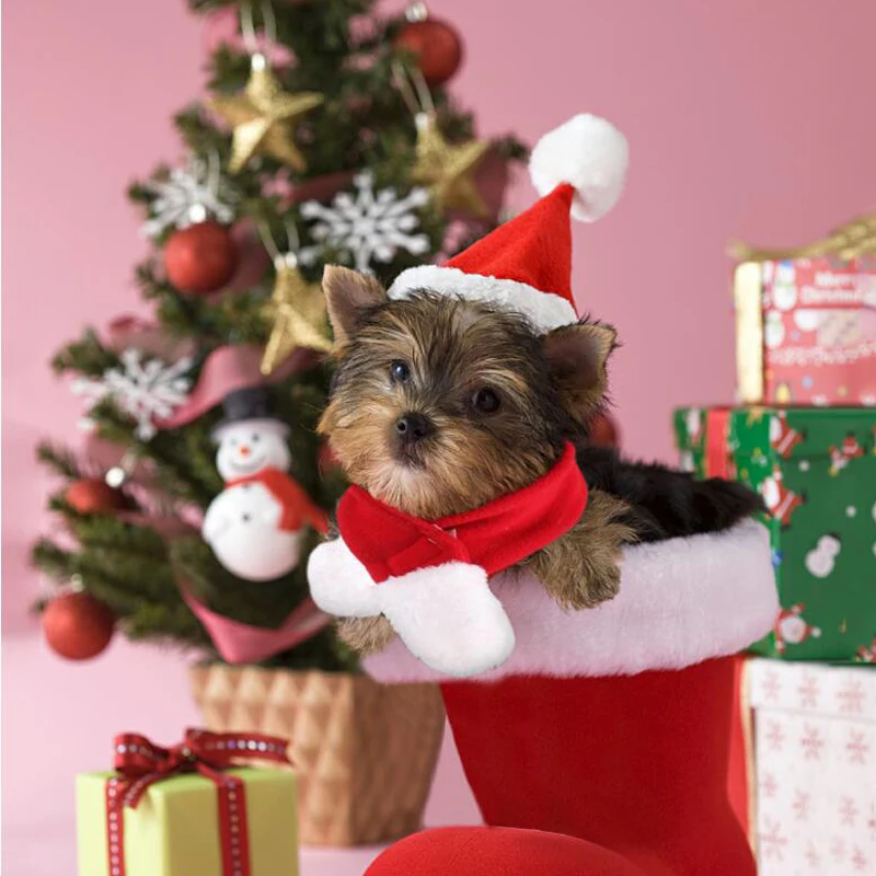 Рождественский костюм для домашних животных, шарф, шапка, одежда для собак, кошек, зимняя теплая Модная милая маленькая собачка, одежда для кошек, одежда для щенков и котят