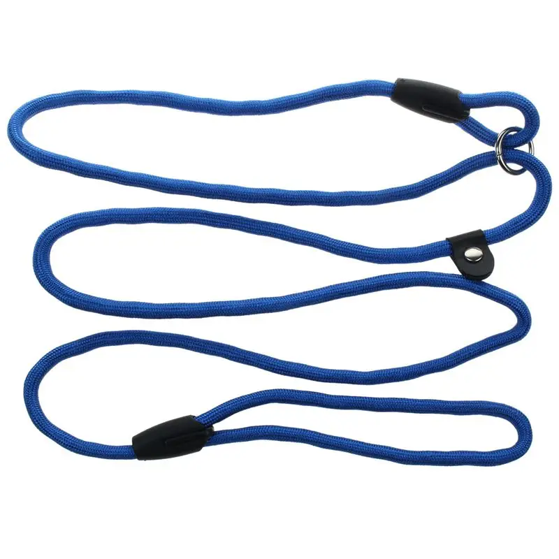 

Strong Nylon Pet Dog Lead Puppy Walking Slip Collar Rope Strap Training Leash, Blue