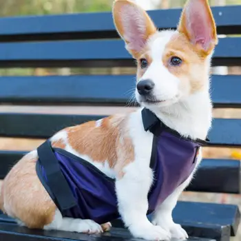 

Pet Waterproof Clothes Adjustable Raincoat Lightweight Rain Jacket Belly Cover for Dogs and Puppies (Purple, Size L)