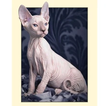 GATYZTORY 5D алмазная живопись полный квадрат DIY домашний декор мозаика Стразы Картина на холсте с логотипом на заказ Настенная картина без волос кошка