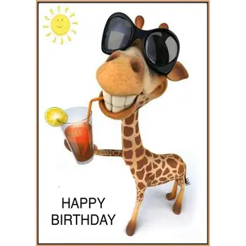 

2 Pack Happy Birthday Animals 5D DIY Diamond Painting Kits Full Drill Rhinestone Embroidery Cross Stitch Home Decor Craft Q6PE