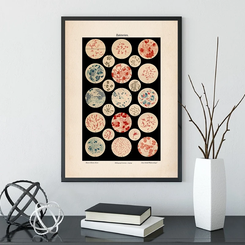 Microbiology Bacteria Microbe Art Print Old Medicine Poster Science Wall Canvas Painting Picture Biology Study Vintage Decor | Дом и сад